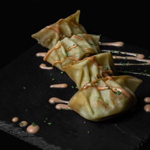 05. GYOZA POLLO